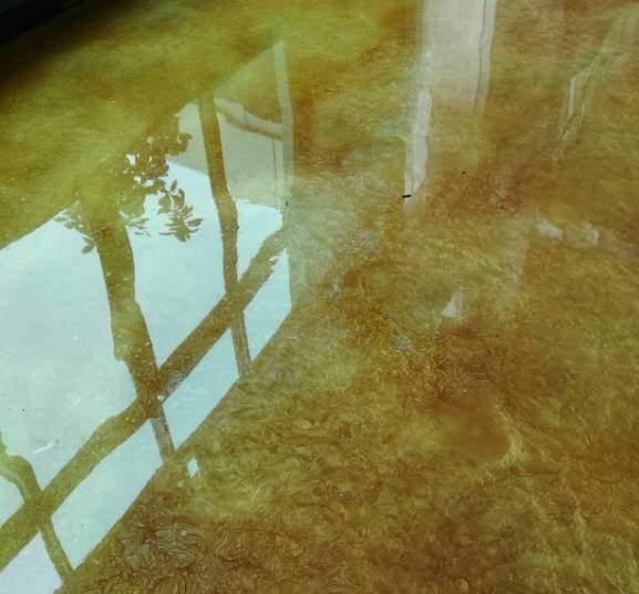 施麥貝琥珀藝術地坪漆施工流程介紹！